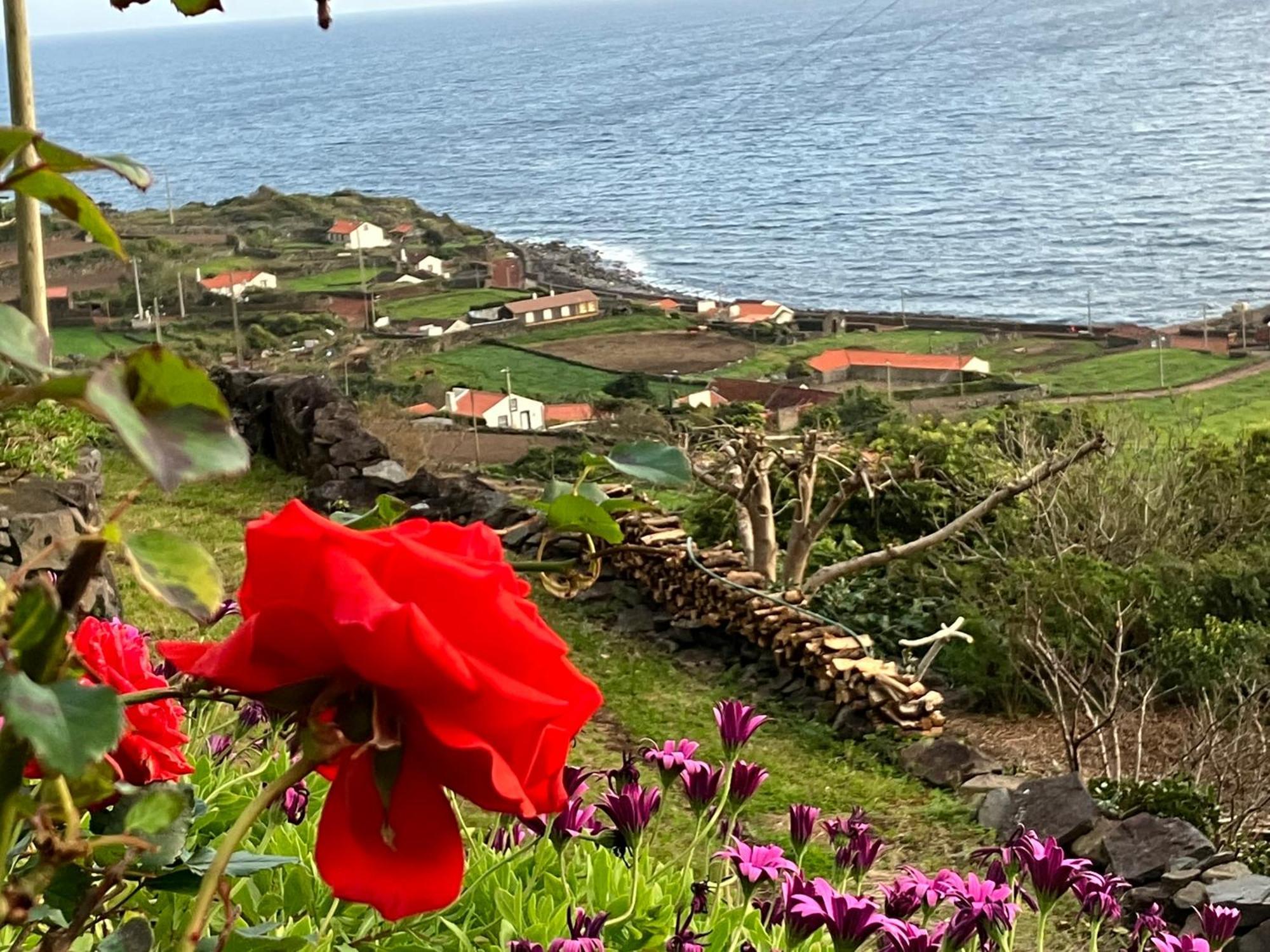 Vistalinda Cabins Calheta  Exterior photo